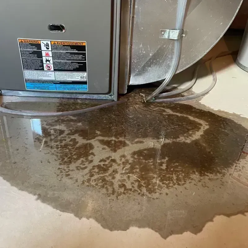 Appliance Leak Cleanup in River Grove, IL